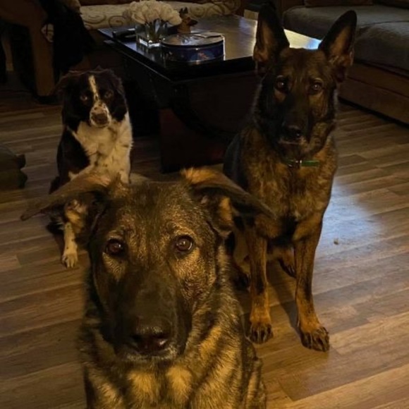 Meet your Posher, Joanne - Picture 1 of 1